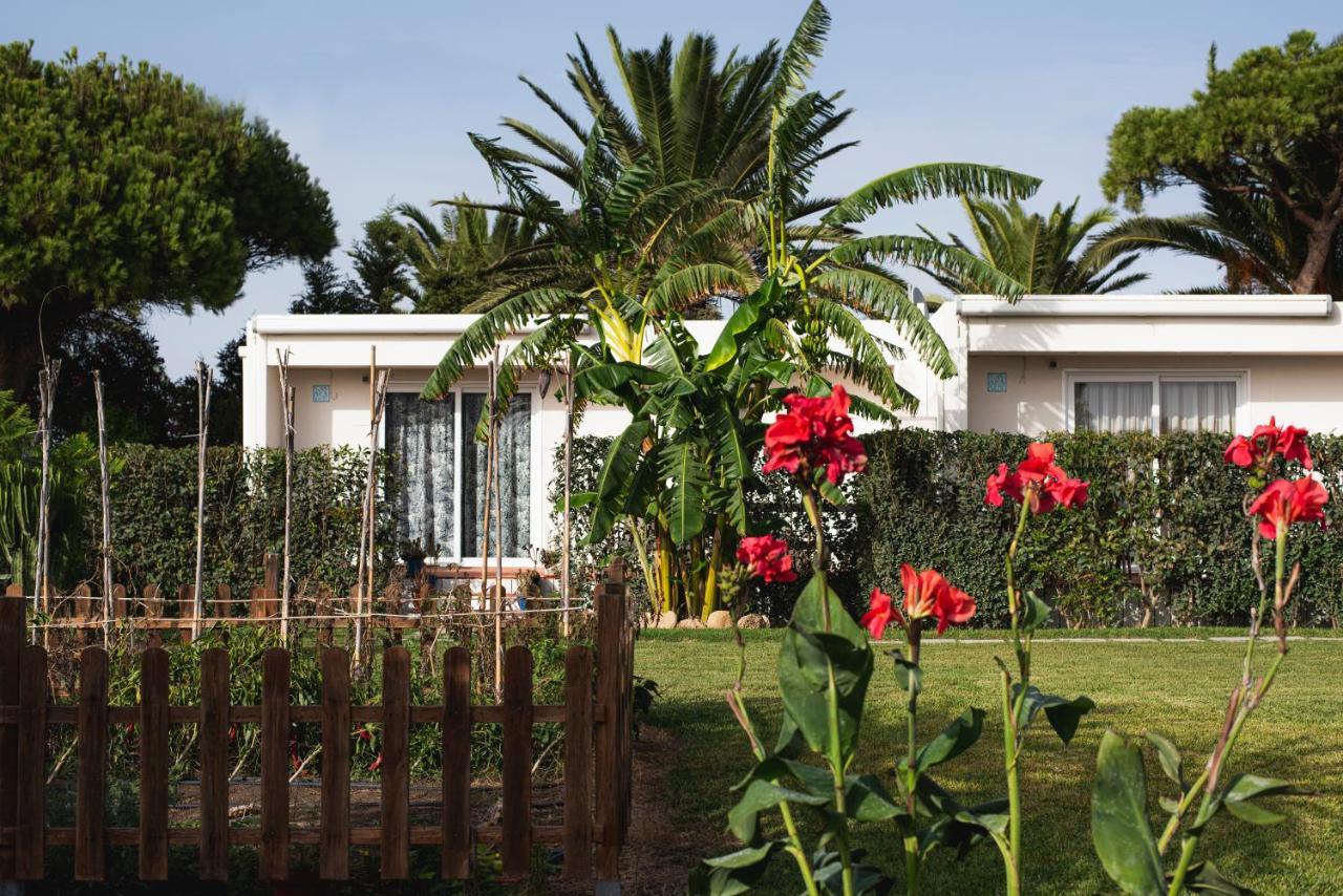 Casara Seis O Casara Siete - Tu Casa A 100M De La Playa De Zahora Guest House Eksteriør bilde