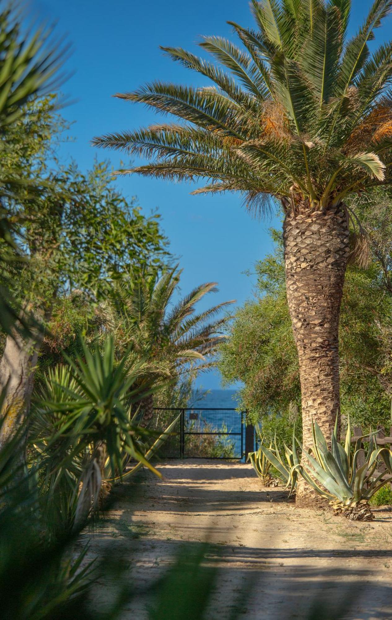 Casara Seis O Casara Siete - Tu Casa A 100M De La Playa De Zahora Guest House Eksteriør bilde