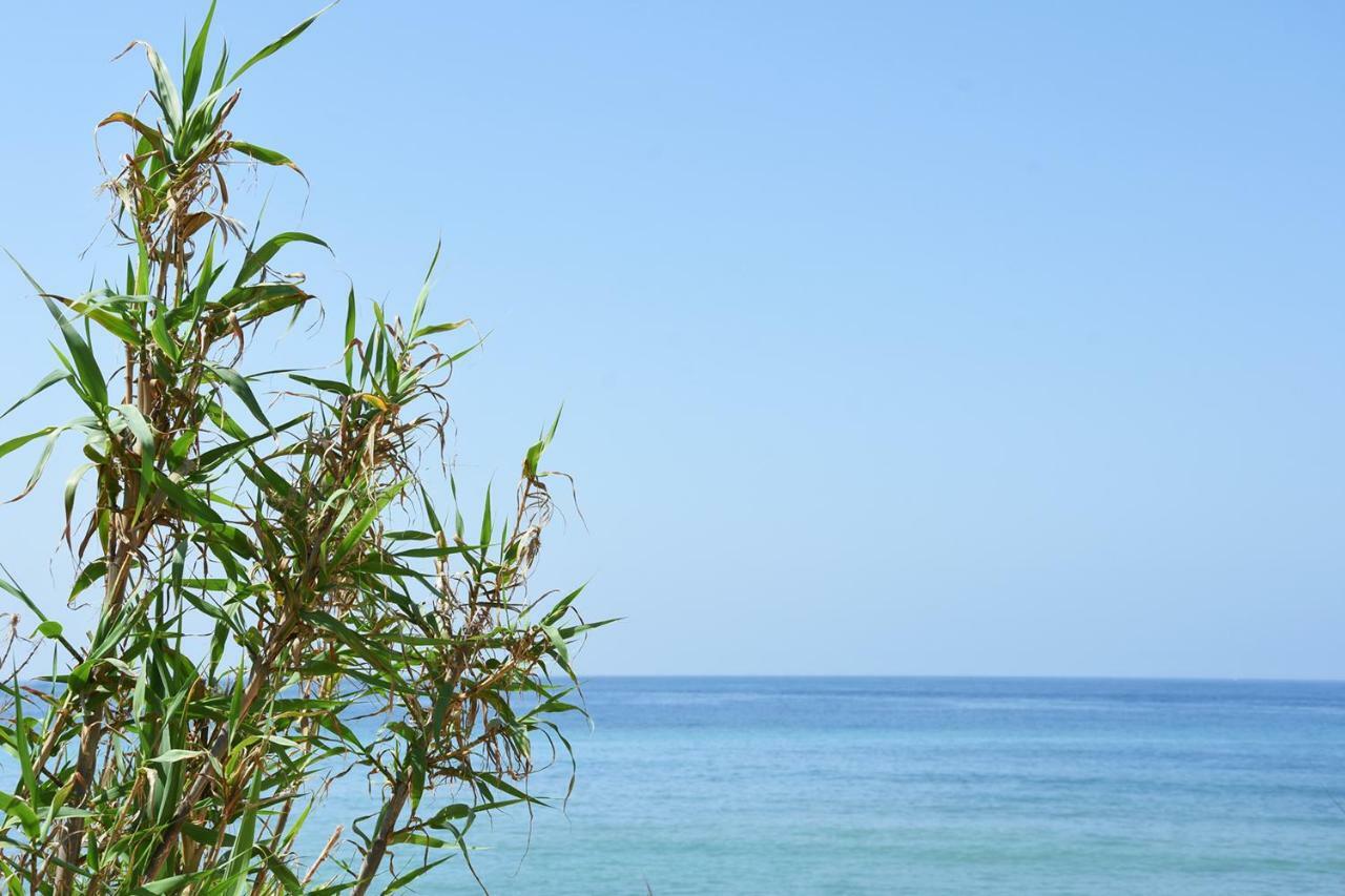 Casara Seis O Casara Siete - Tu Casa A 100M De La Playa De Zahora Guest House Eksteriør bilde