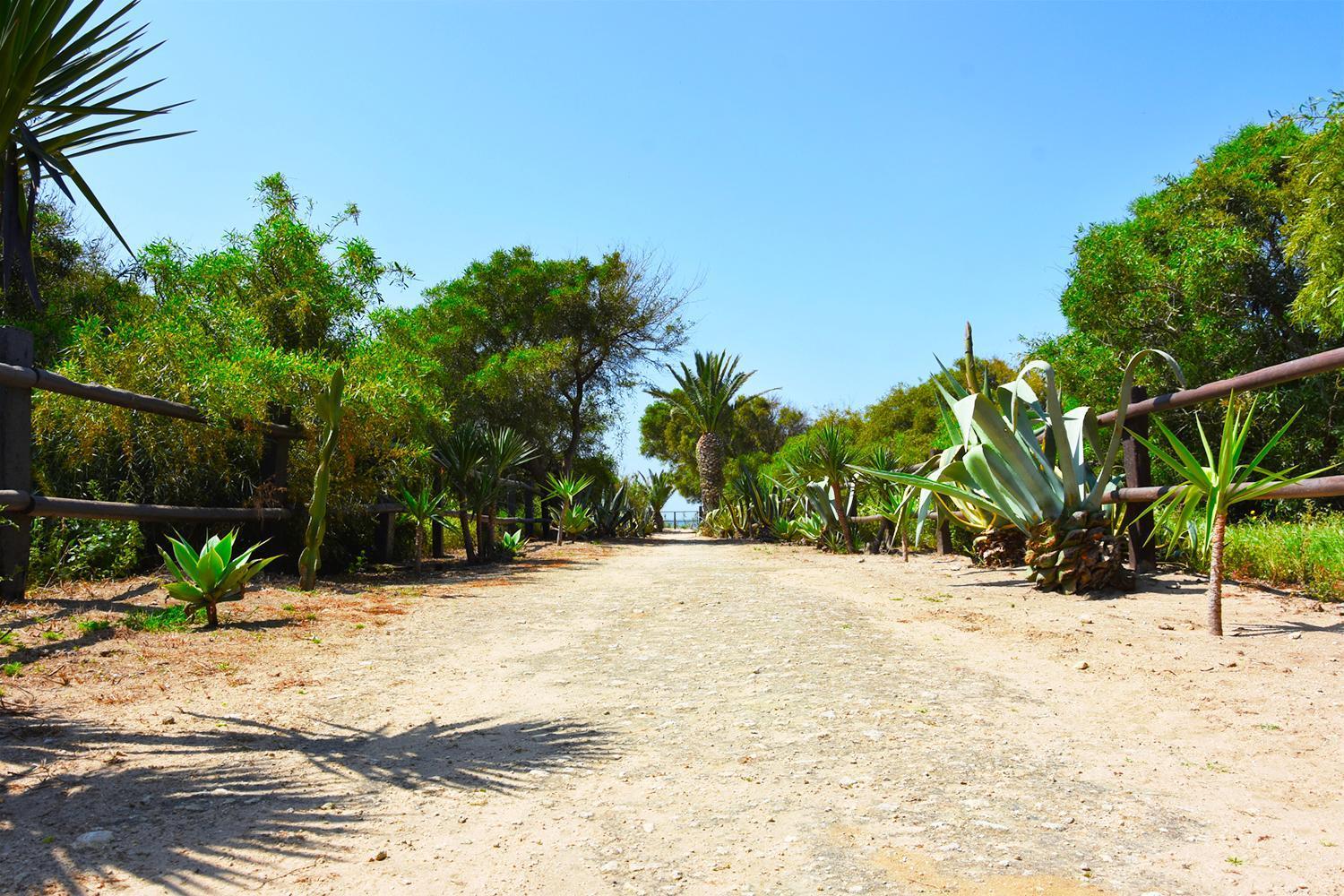 Casara Seis O Casara Siete - Tu Casa A 100M De La Playa De Zahora Guest House Eksteriør bilde