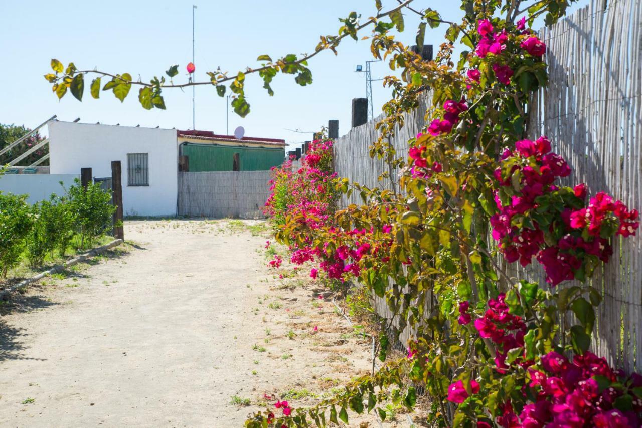 Casara Seis O Casara Siete - Tu Casa A 100M De La Playa De Zahora Guest House Eksteriør bilde